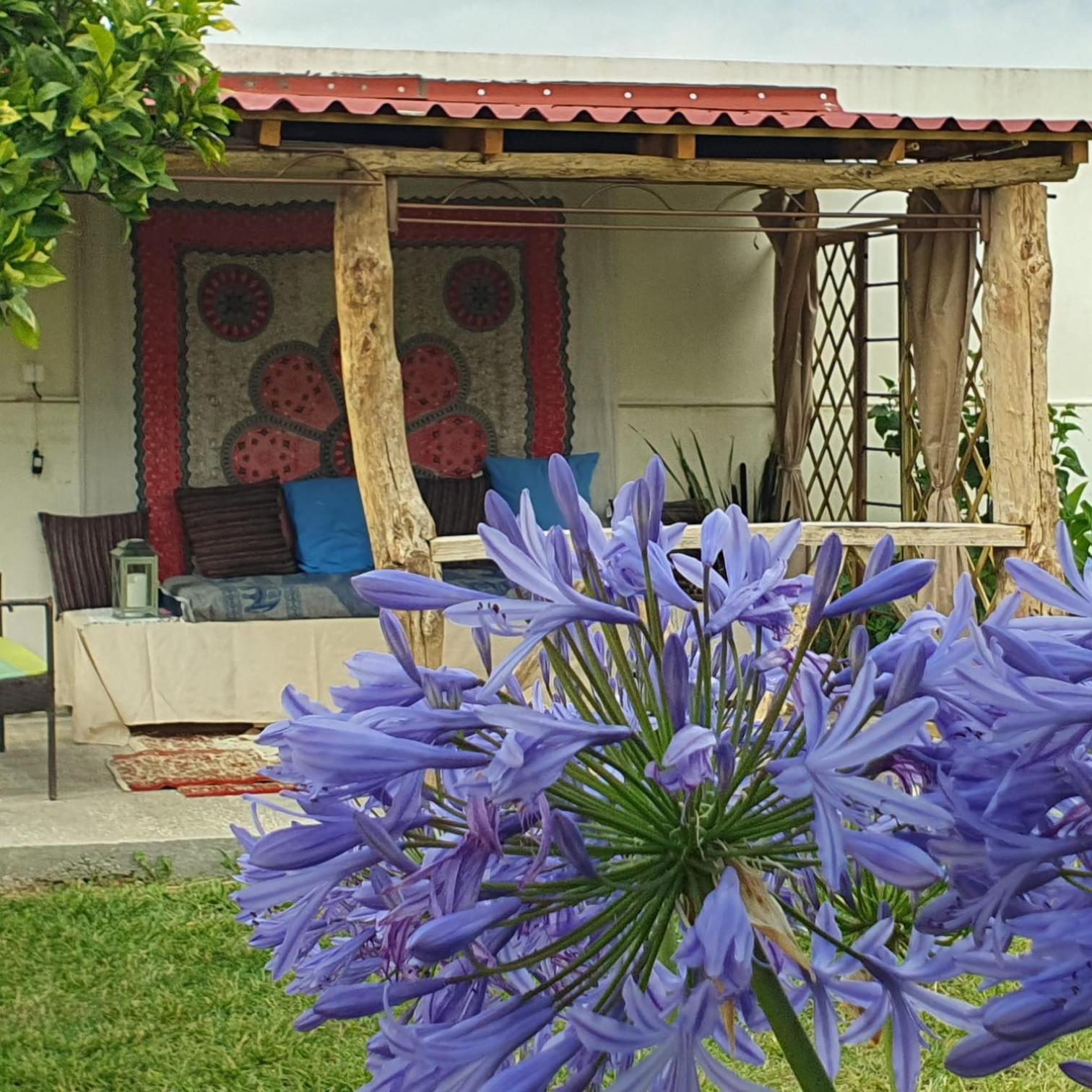 Casinha D'Alice Et Serge Cela Velha Exterior photo